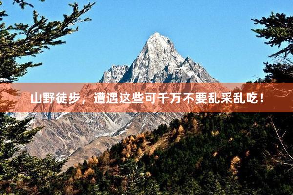 山野徒步，遭遇这些可千万不要乱采乱吃！