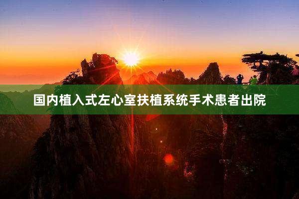 国内植入式左心室扶植系统手术患者出院